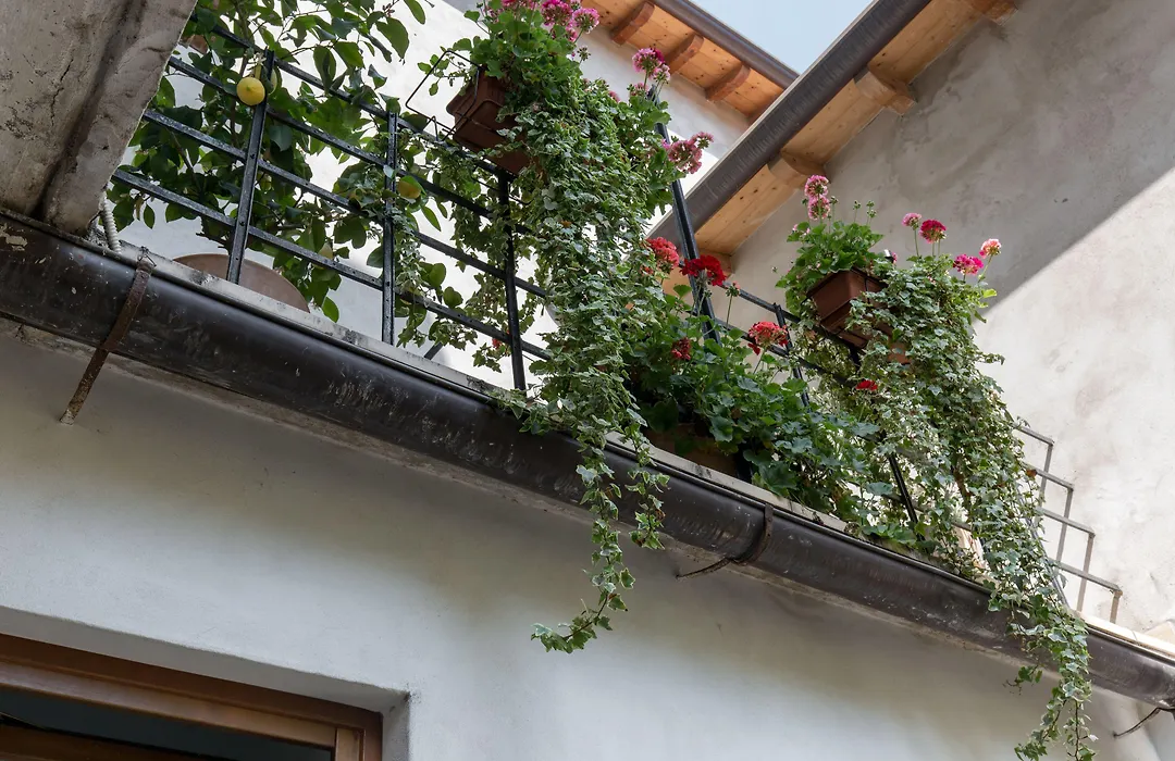 Veronetta House-1