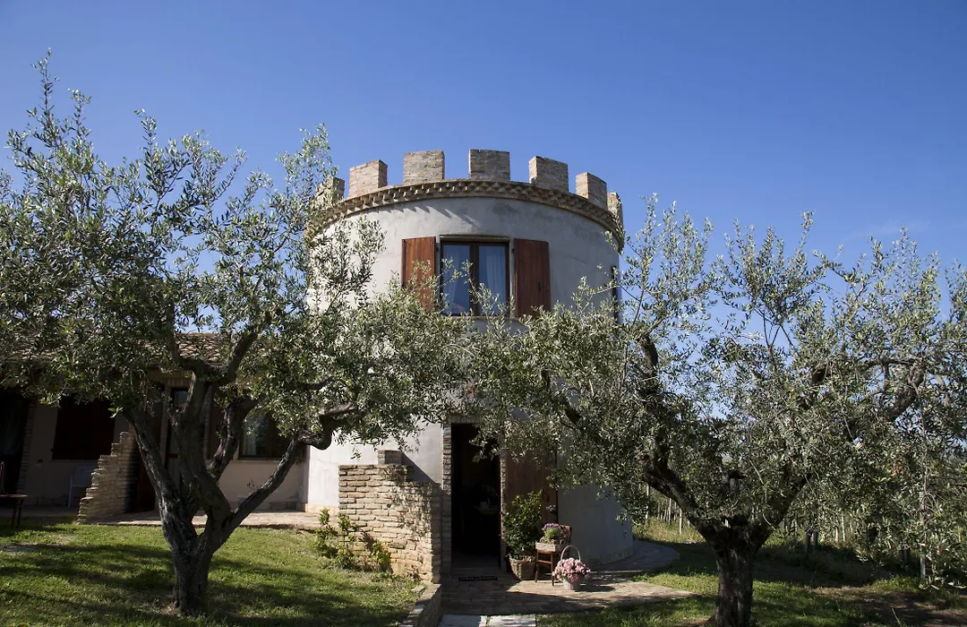 Tenuta Querce Grosse-1