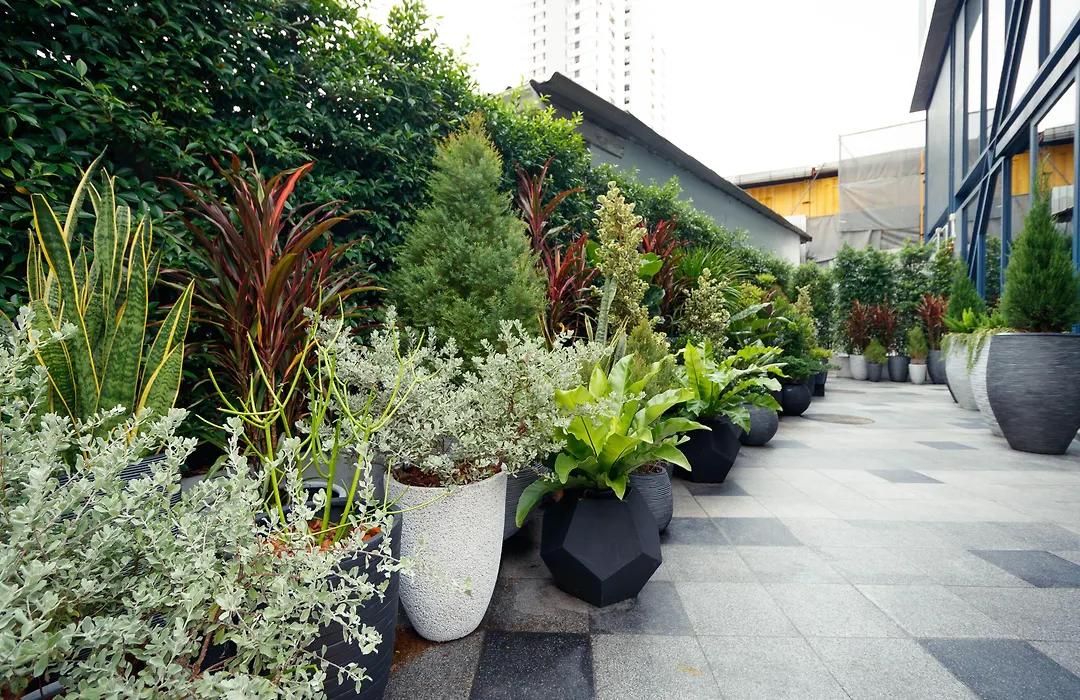 Klub Hotel Bangkok-1