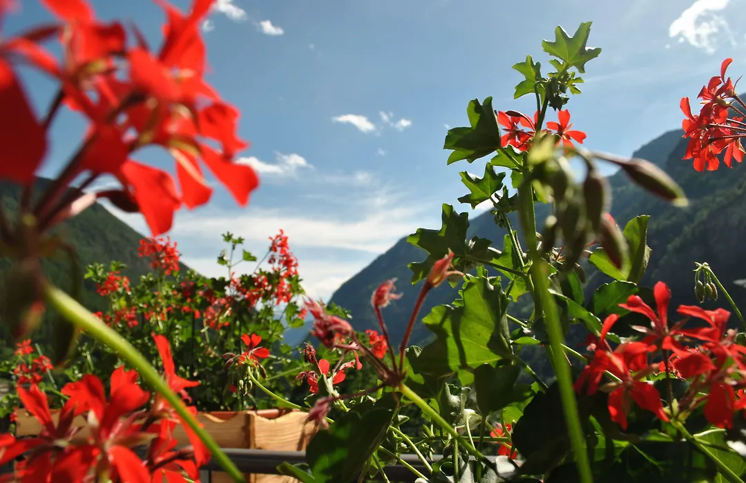 Hotell Millefiori- Alpine Event Lodge-1
