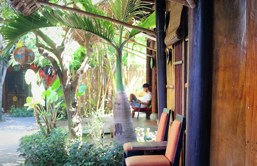 Under The Coconut Tree Hoi An-1