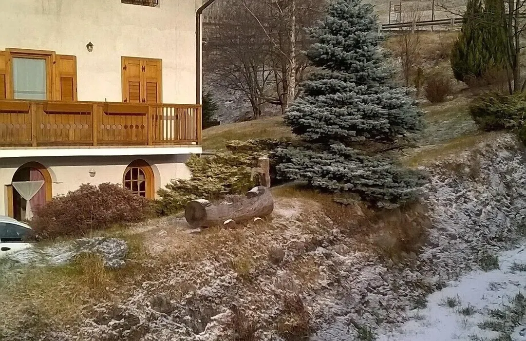 Alpen Hotel Rabbi-1