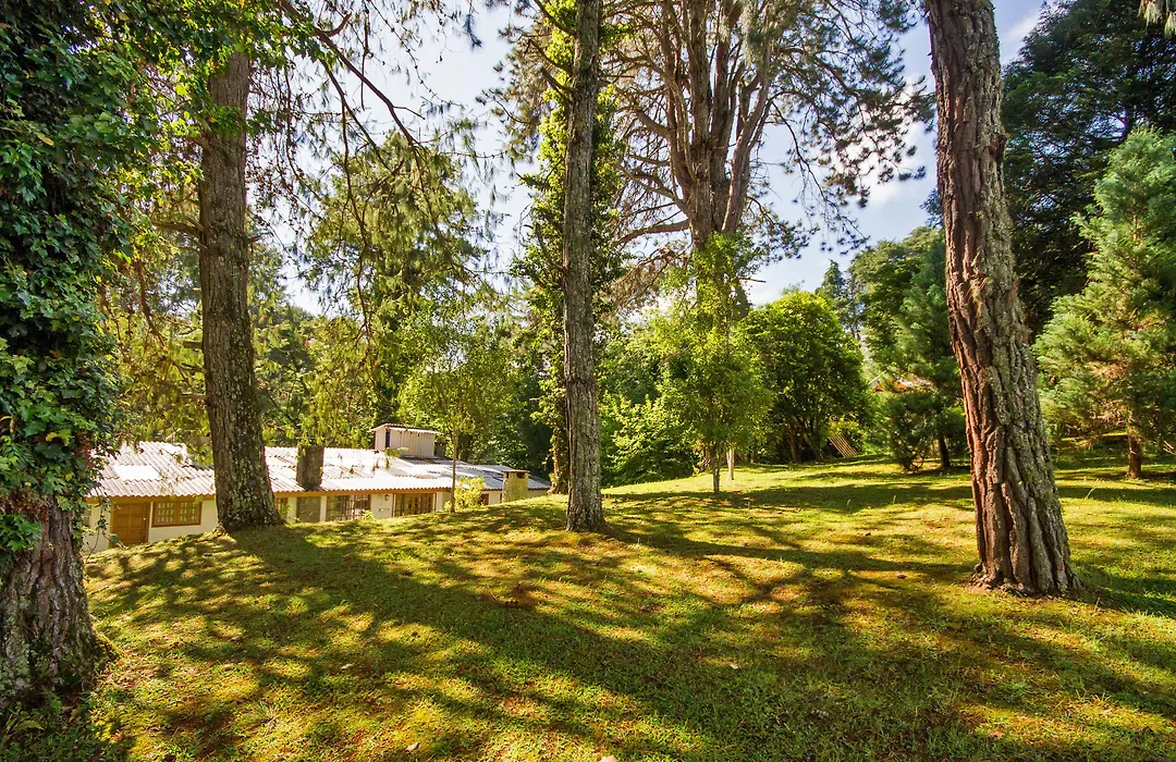 Villa Vintage Campos - Piscina e opções de suites com hidromassagem-1