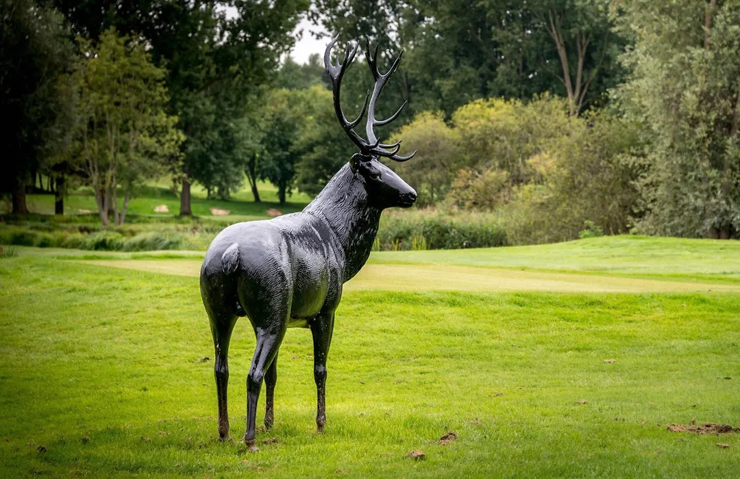 Le Pavillon du Golf d'Arras-1