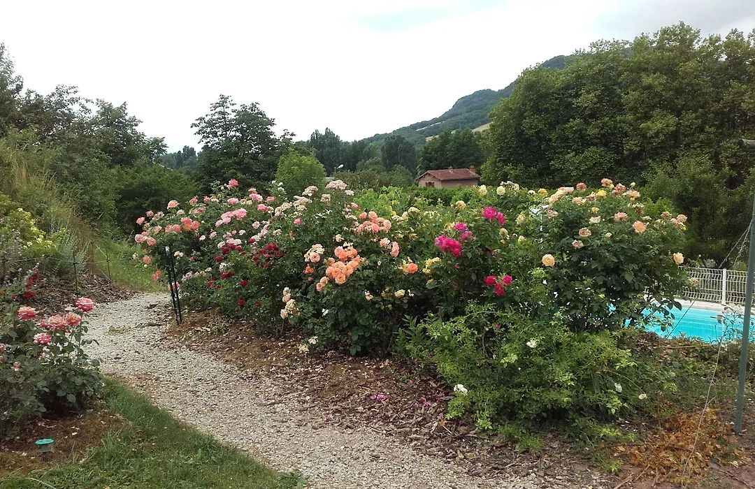 Domaine du Vern-1