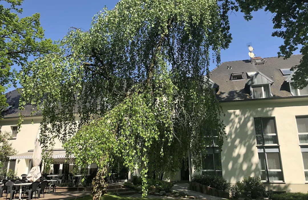 Hotel Luther Birke Wittenberg-1