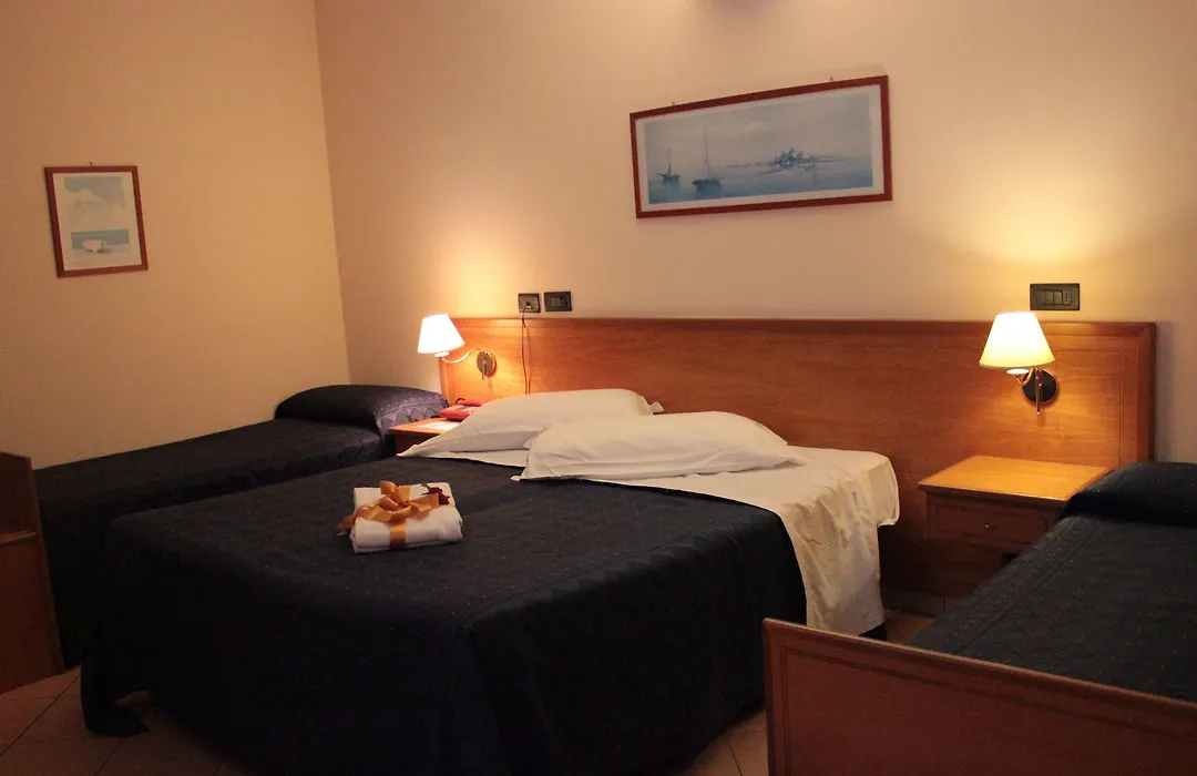 Lion'S Hotel-1