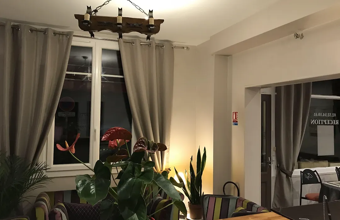 Hôtel Les Iris-1