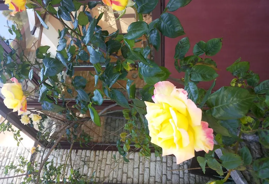 B&B Villa Acero-1