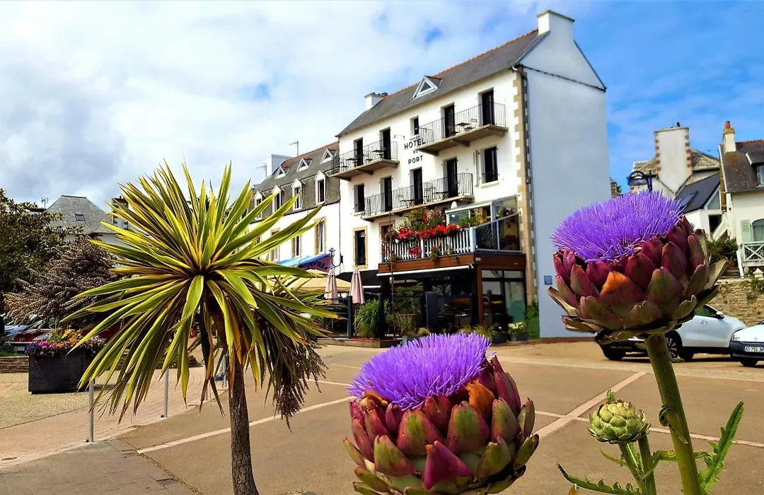 Hotel du port-1