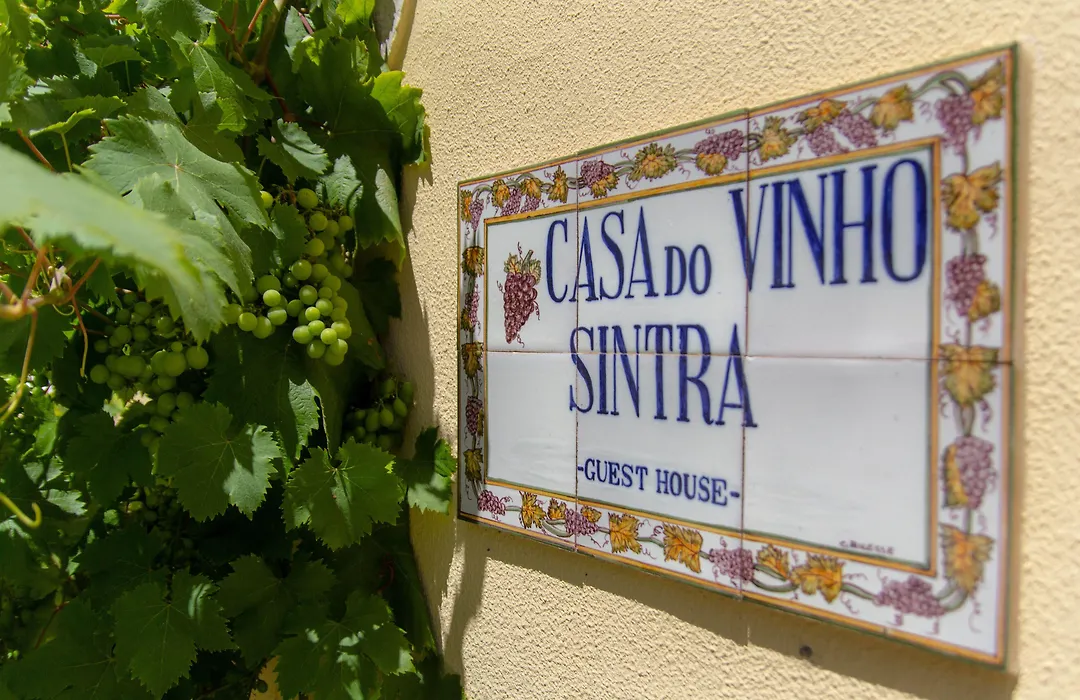 Casa Do Vinho Sintra Guest House-1