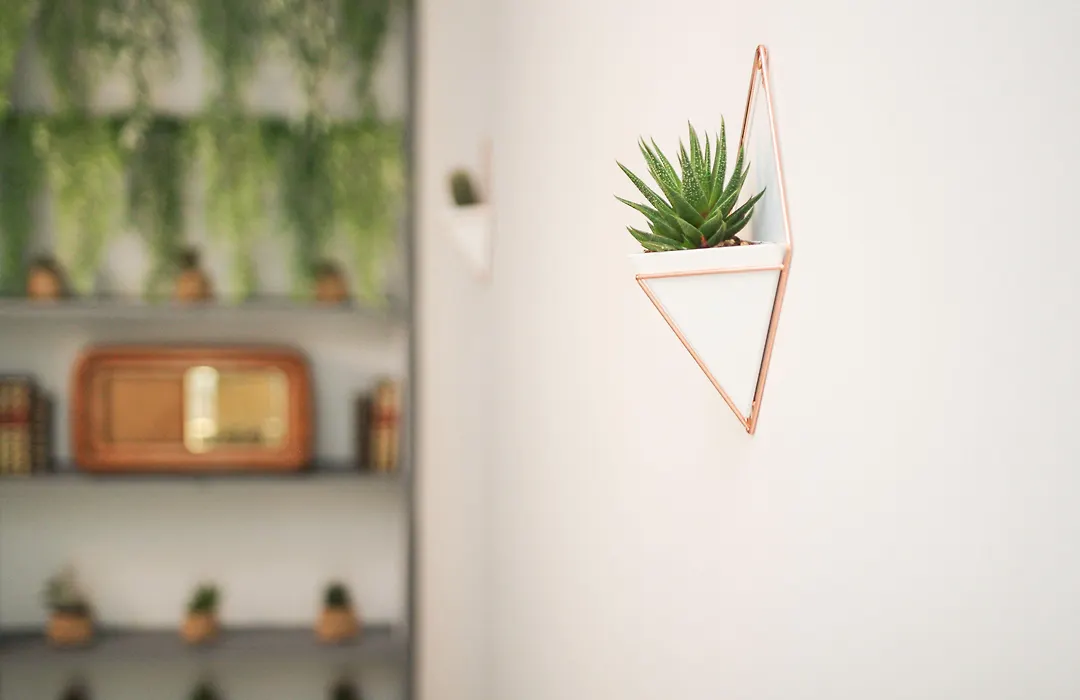Rudiae Boutique-1