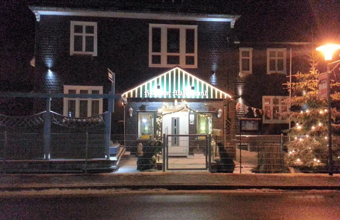 Pension Haus am Waldesrand-1
