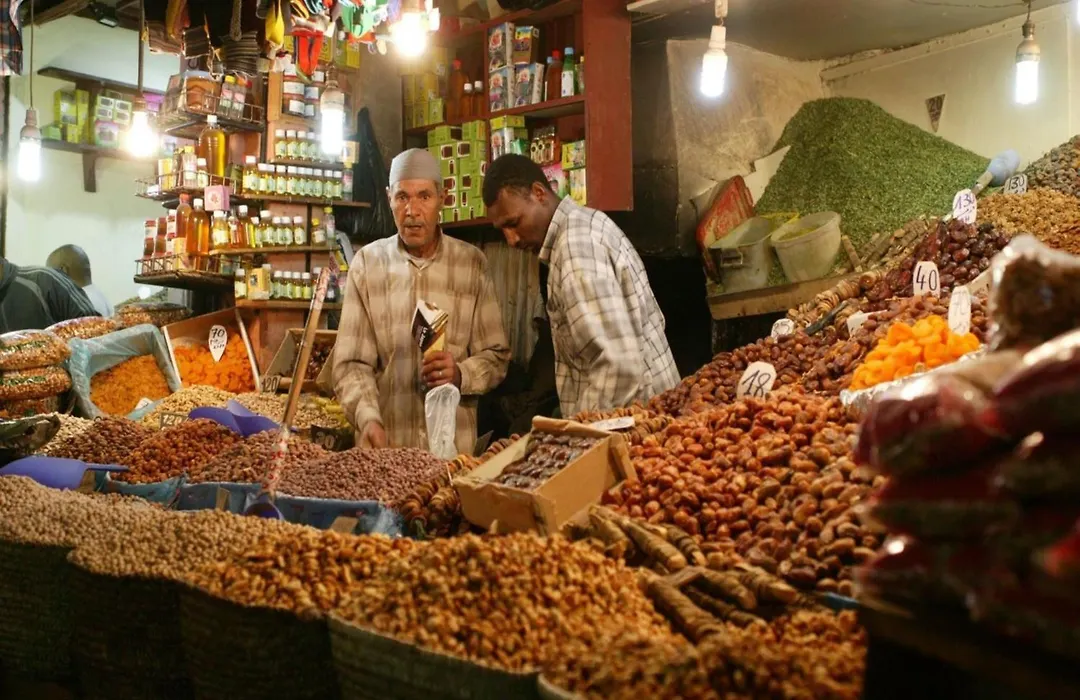 Riad Darhani-1