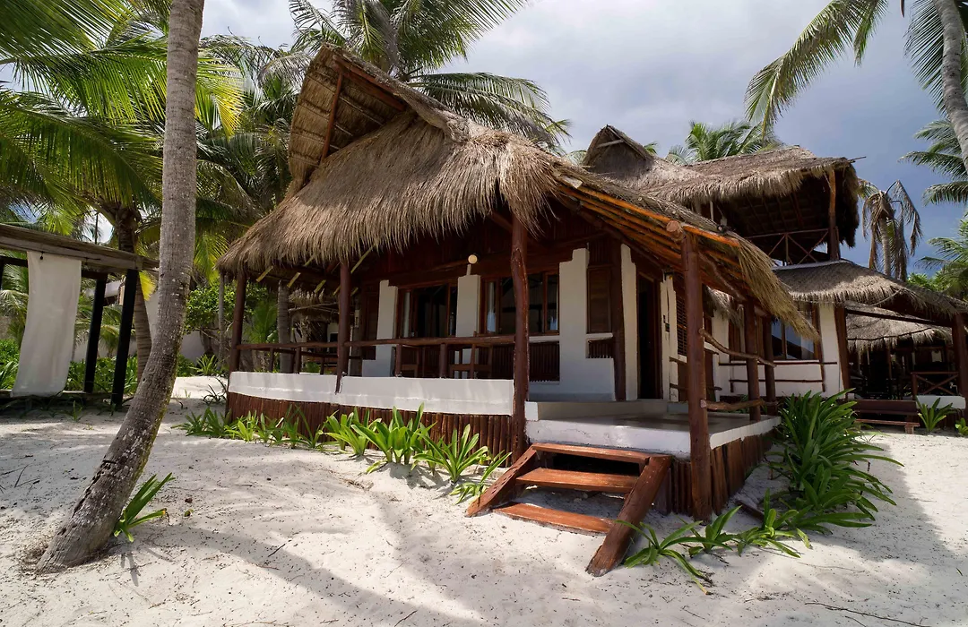Bt Live Tulum Located At The Party Zone-1