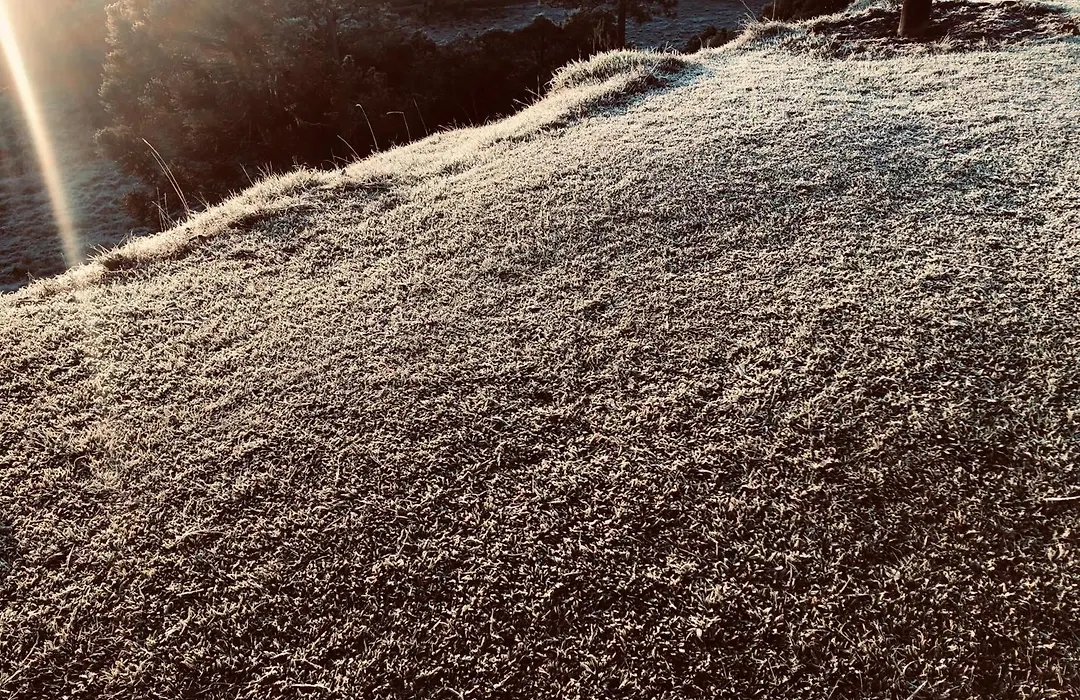 Pousada Fazenda da Invernada-1