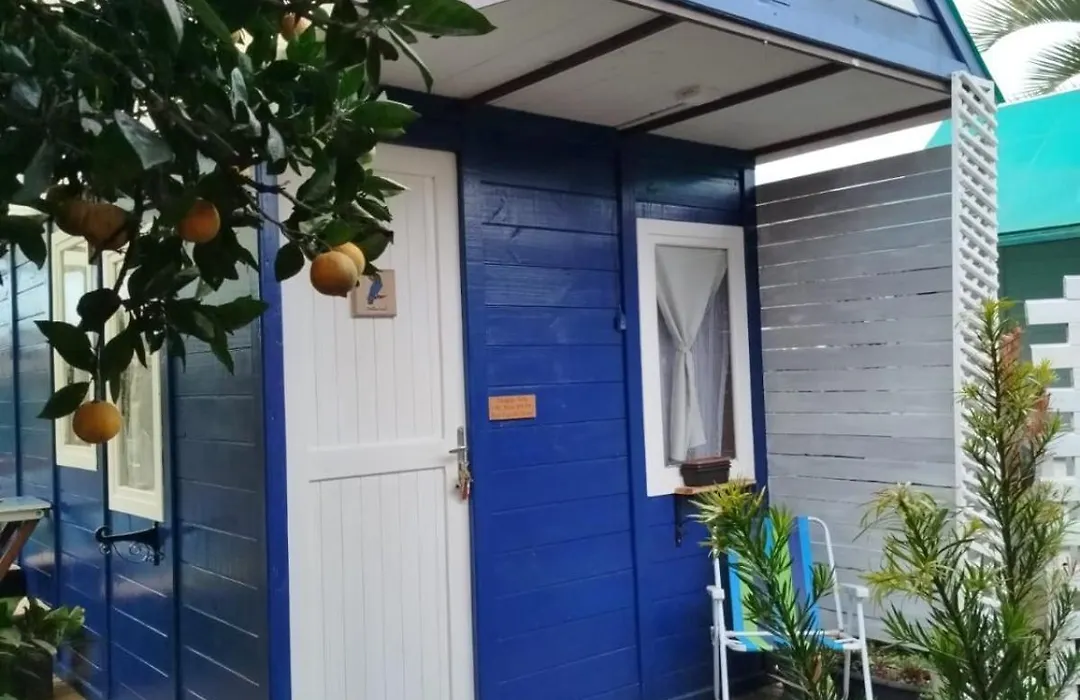 Mini House Park-1