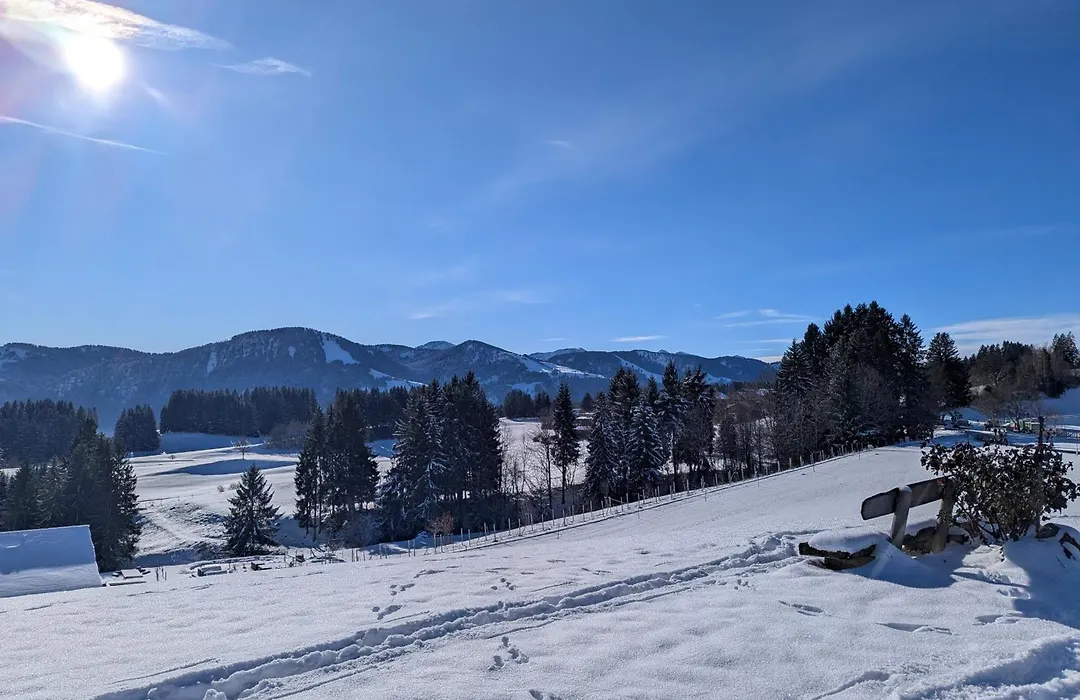 Hotel Bergstätter Hof-1