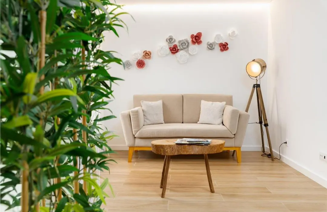 Alojamento White Rose Boutique-1