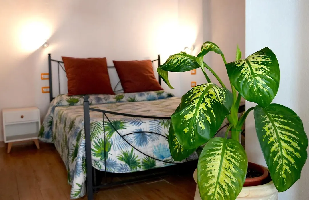 Flowery Inn Villa-1