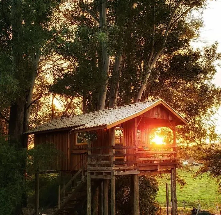Pousada Fazenda Pinhalzinho-1