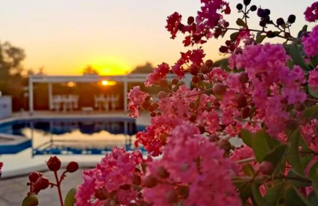 Peperosa Rooms And Events - Peaceful Countryside Escape With Pool, Private Parking, Just Minutes From The Sea, Anzio And Nettuno-1