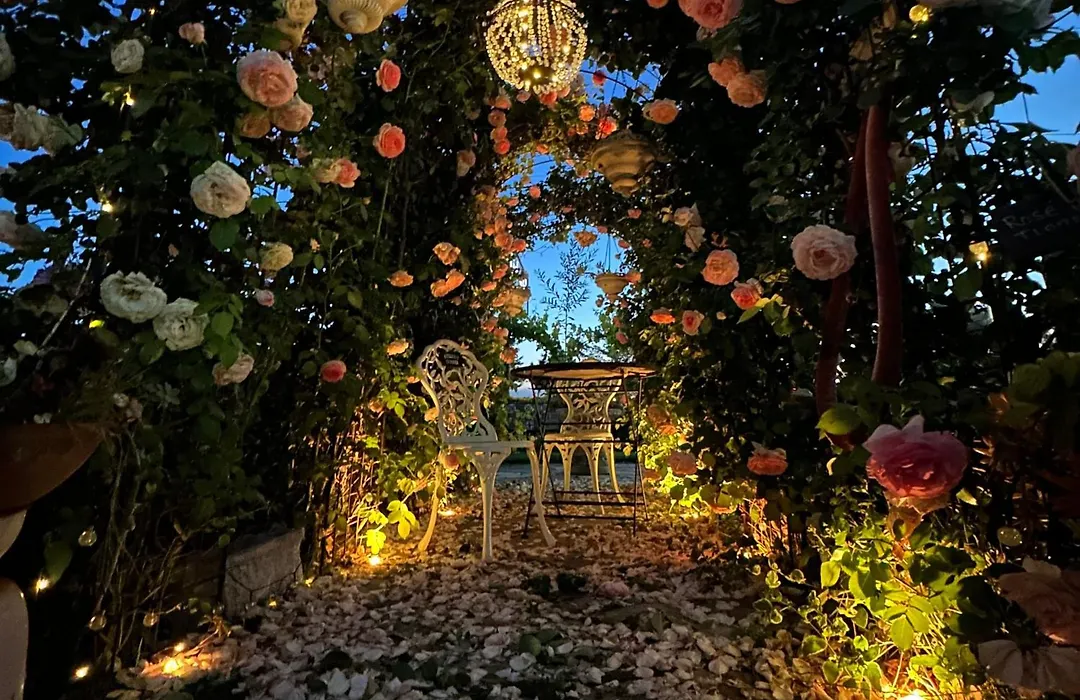 Chardonnay Lodge-1