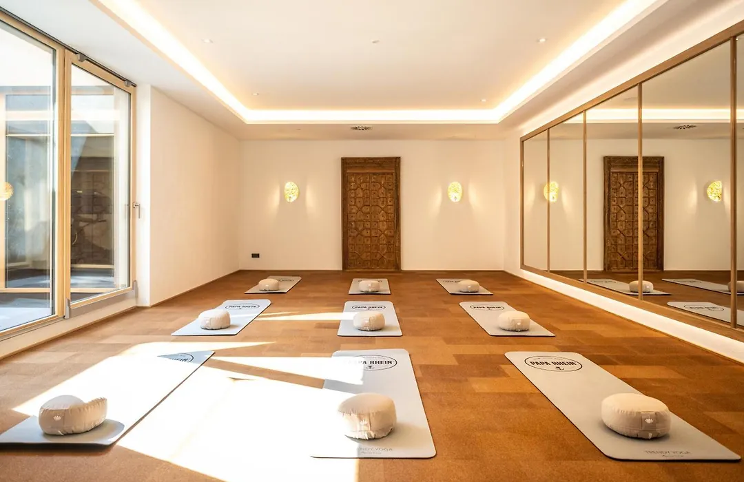 Papa Rhein - Hotel & Spa-1