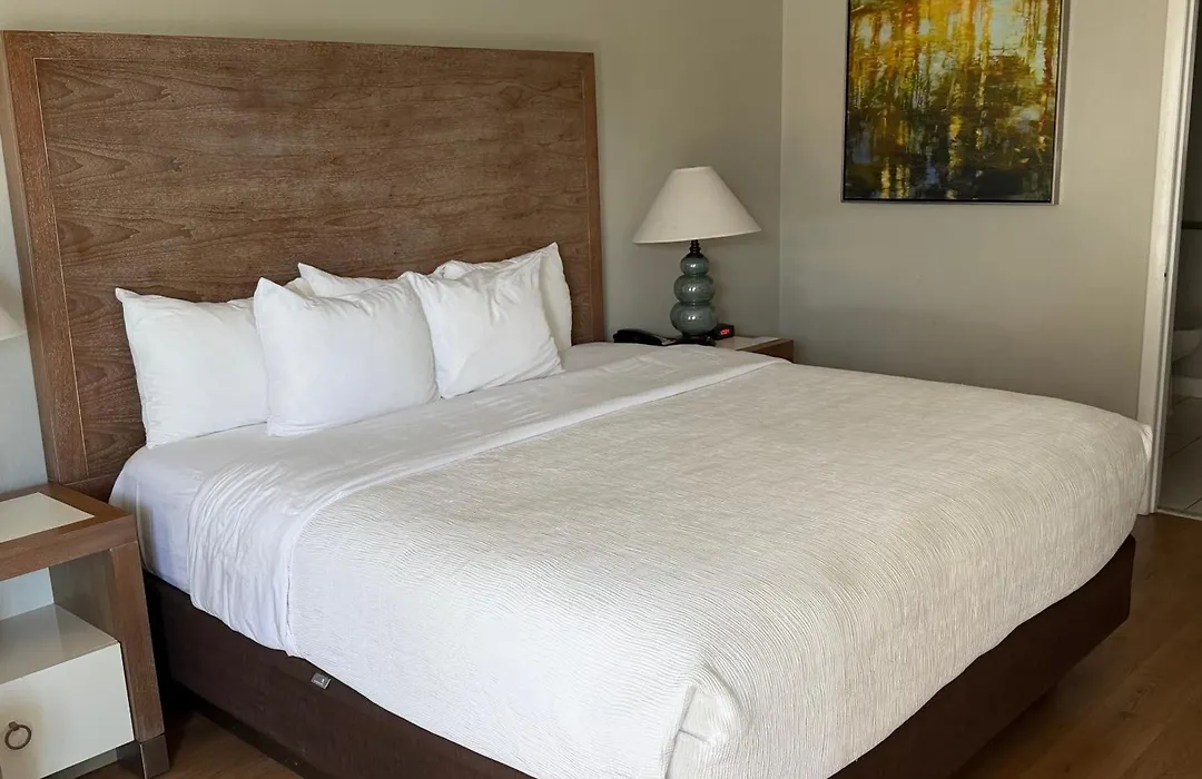 Quality Inn & Suites By The Parks-1