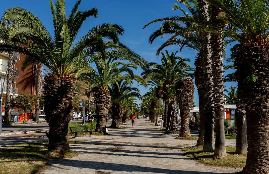 Hotel Soraya-1