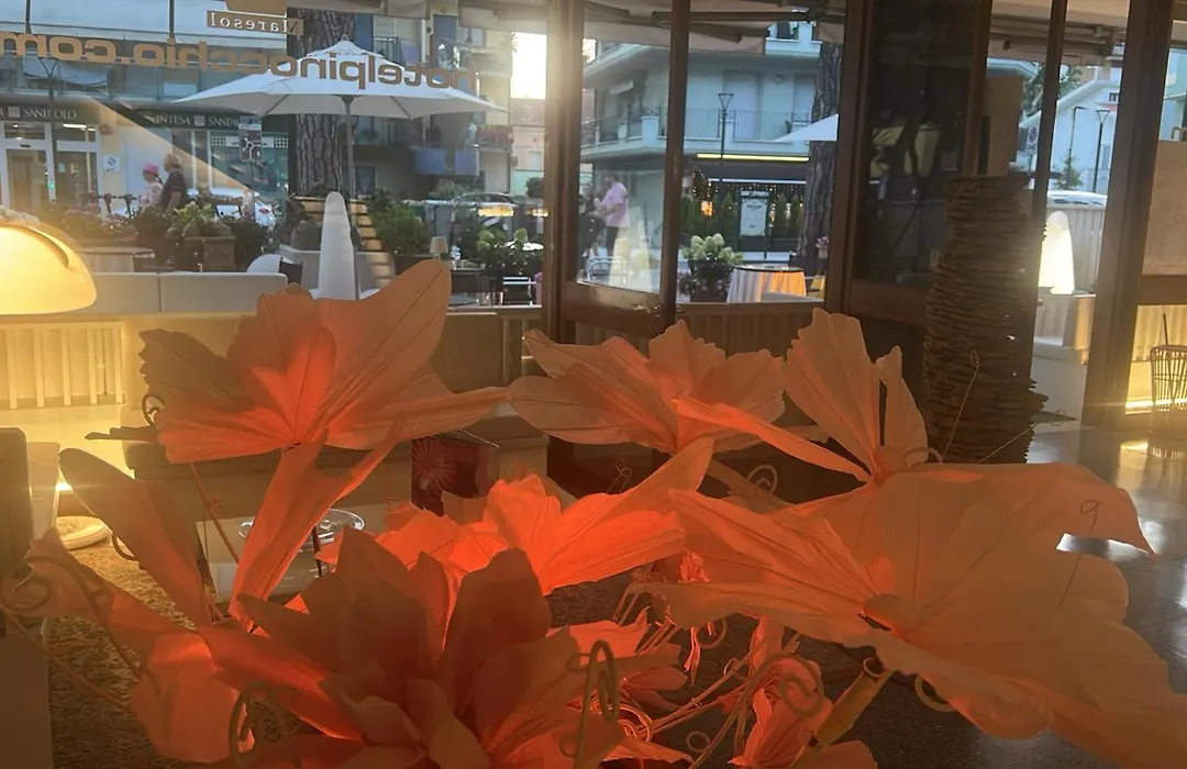 Hotel Pinocchio-1