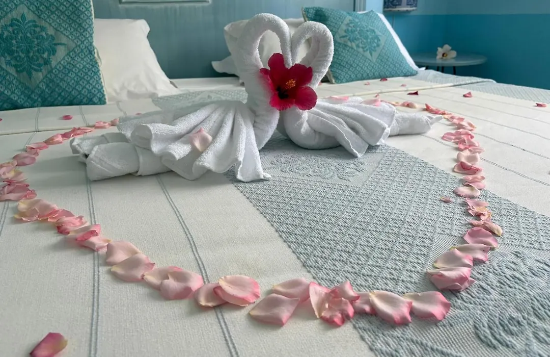 Hotel Baia Cea-1