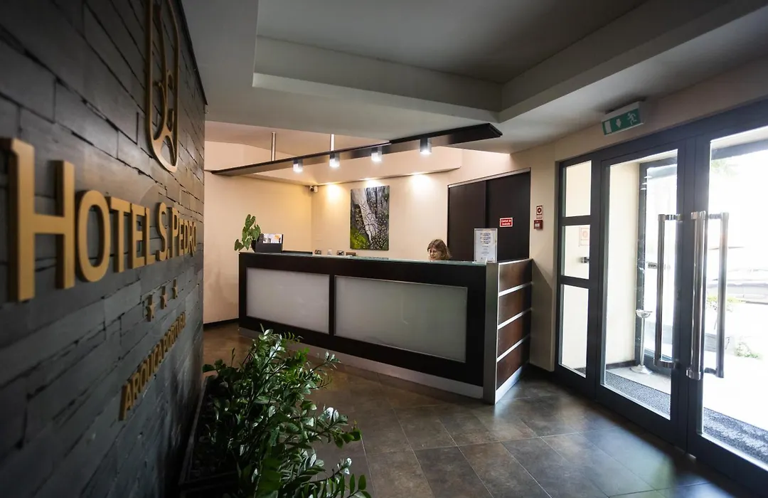 Hotel Sao Pedro - Arouca-1