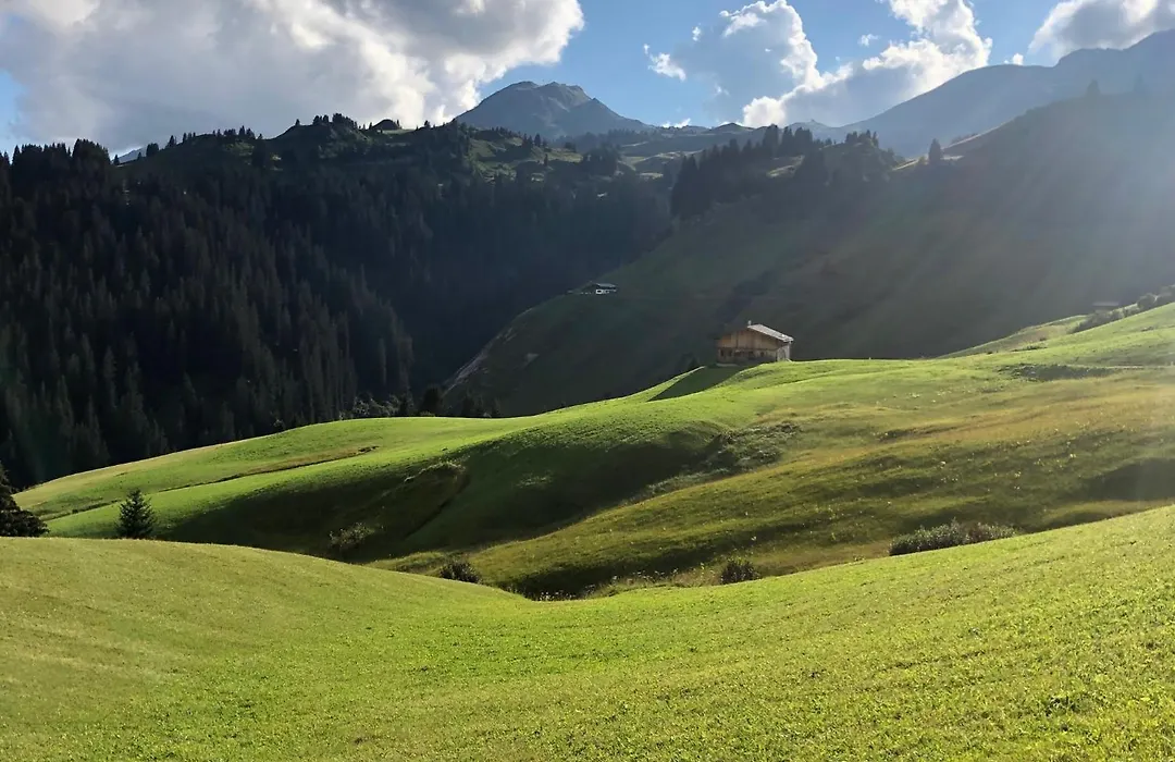 Alpina Lech - Your Home From Home-1