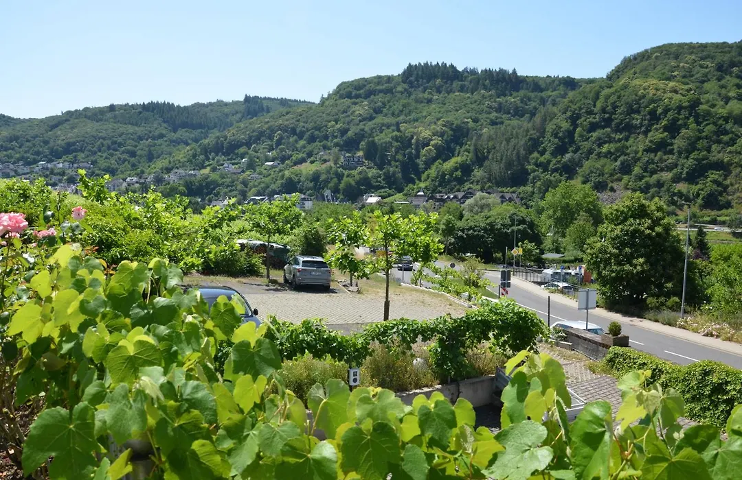 Flair Hotel am Rosenhügel - Garni-1