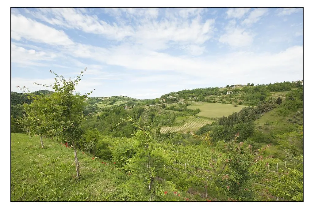 Bed & Breakfast Montesterlino-1