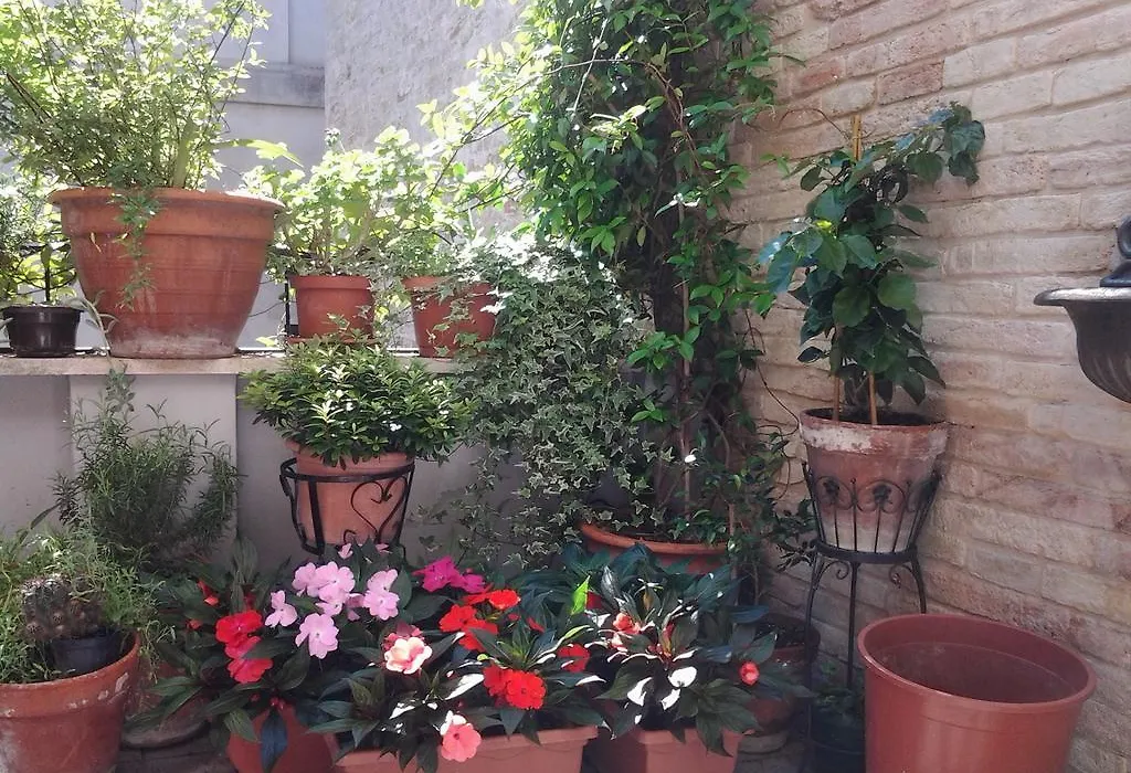 Il Covo dei Piccioni-1