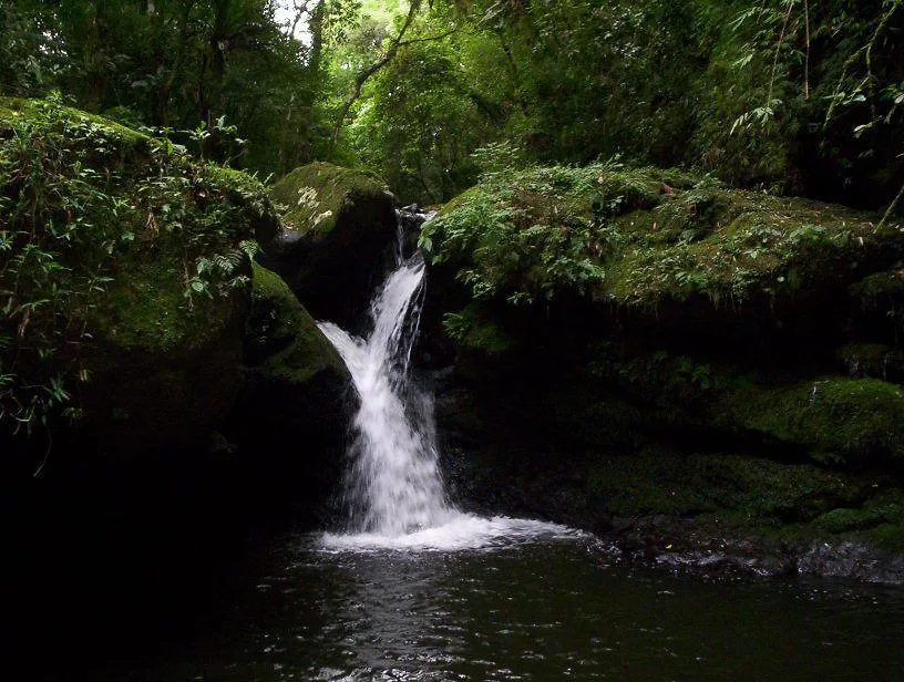 Terra Do Sempre - Reserva Ambiental-1