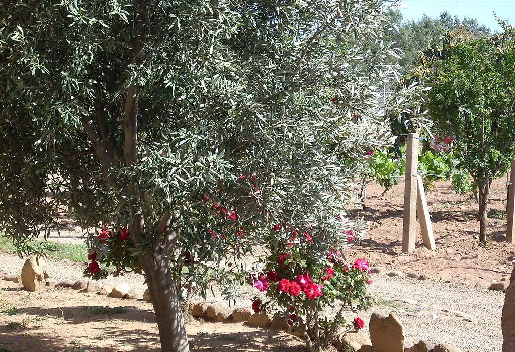 B&B Il Vigneto-1