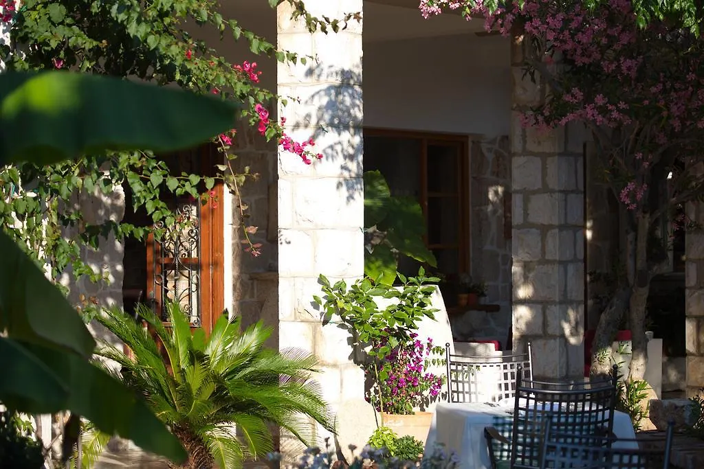 Hotel Villa Barbat-1