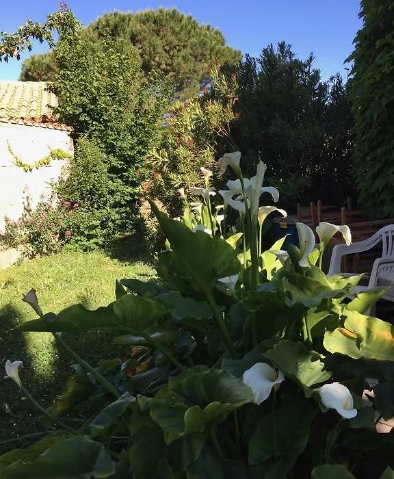 Chez Marydidou : Chambres d'hôtes-1
