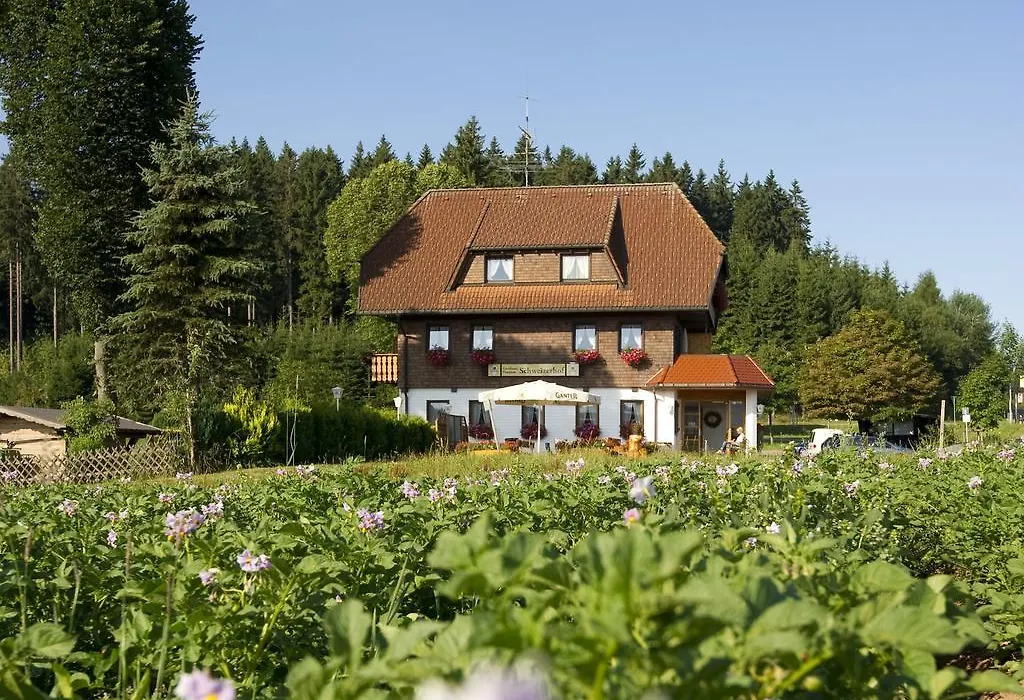 Gasthaus Schweizerhof-1