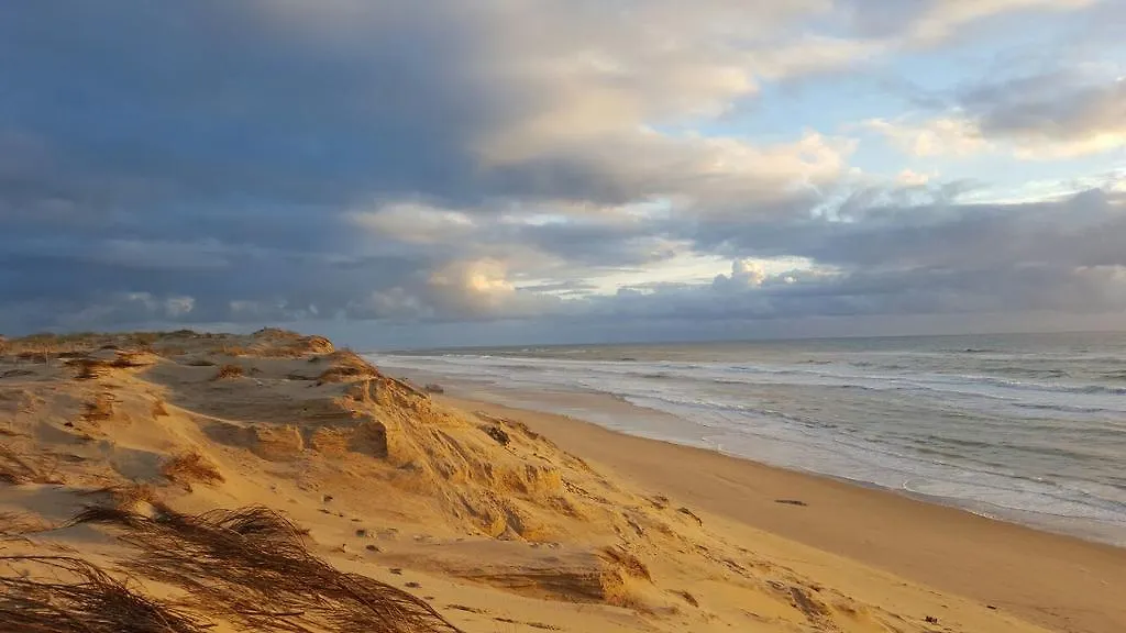 Le Lodge du Cap Ferret-1