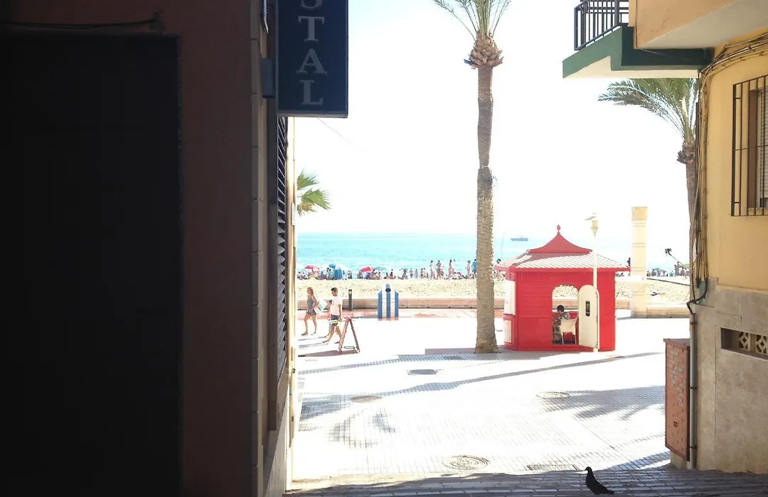 Hostal Delfin Verde-1
