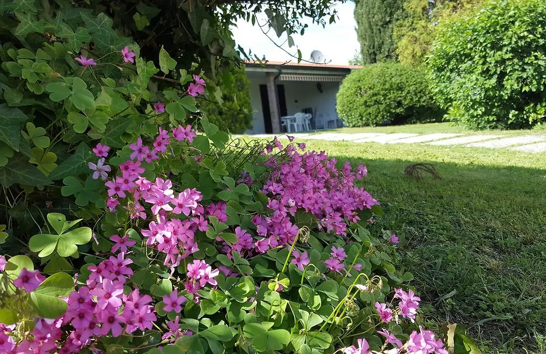 Italsol Residence Riai-1