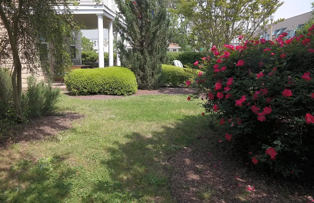 Beach Spa Bed & Breakfast-1