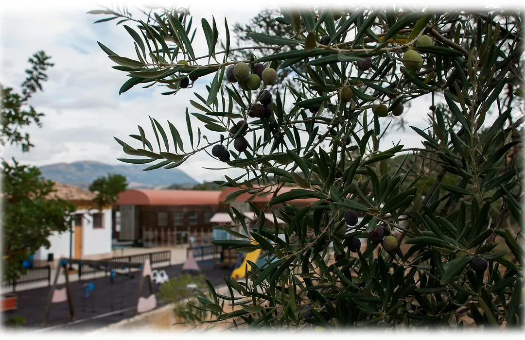 Hotel - Restaurante Estación Vía Verde-1