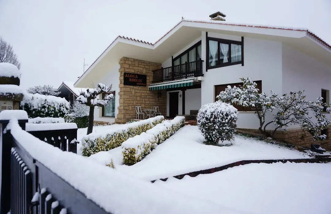 Aloka Rooms Sopela-1