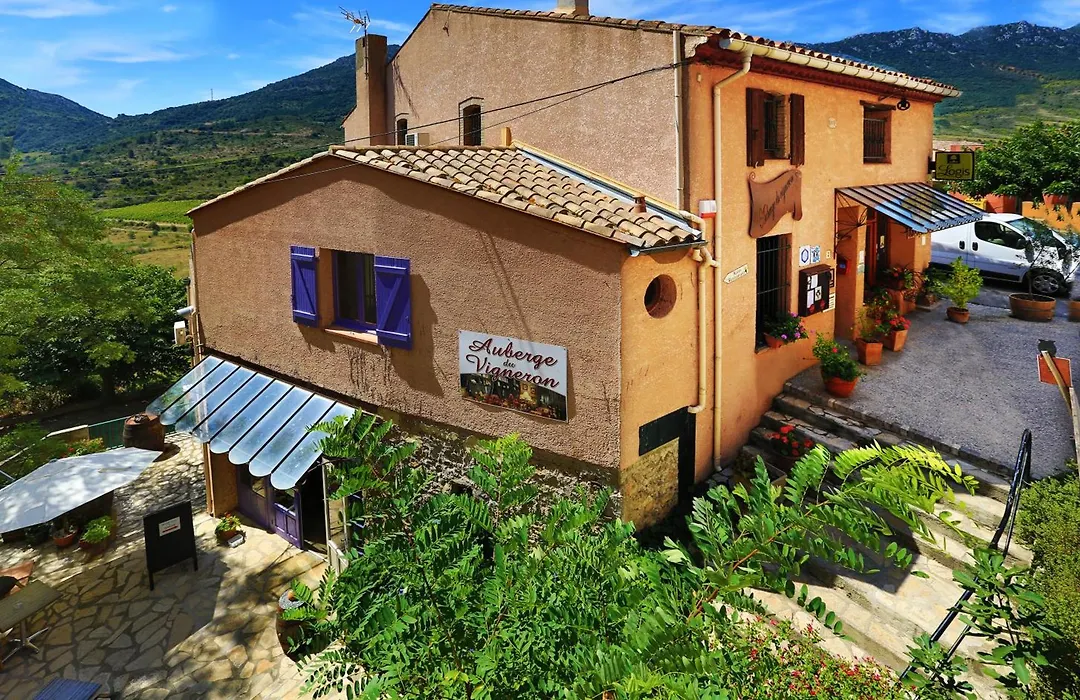 Logis auberge restaurant Du Vigneron-1