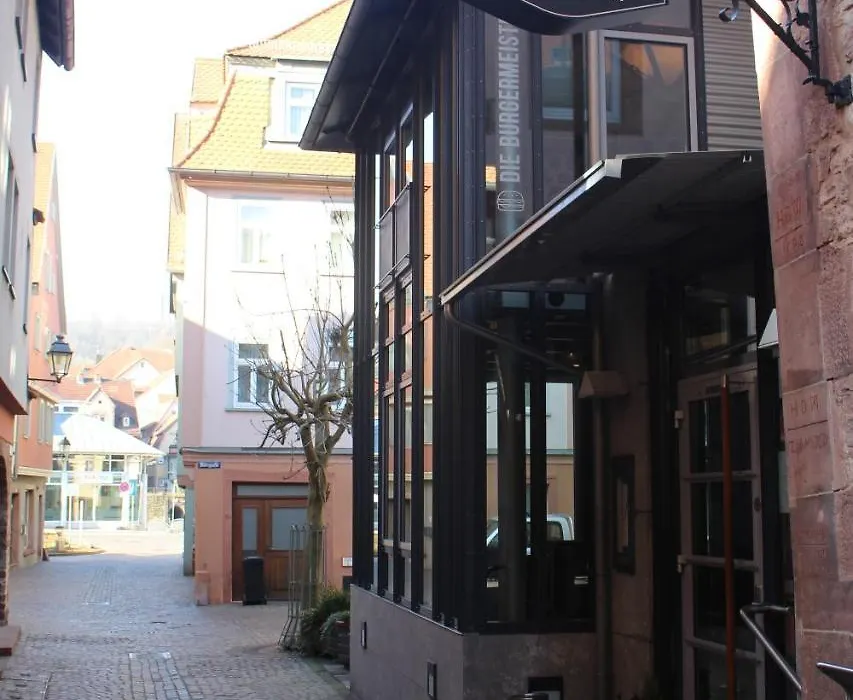 Altstadthotel Baunachshof-1